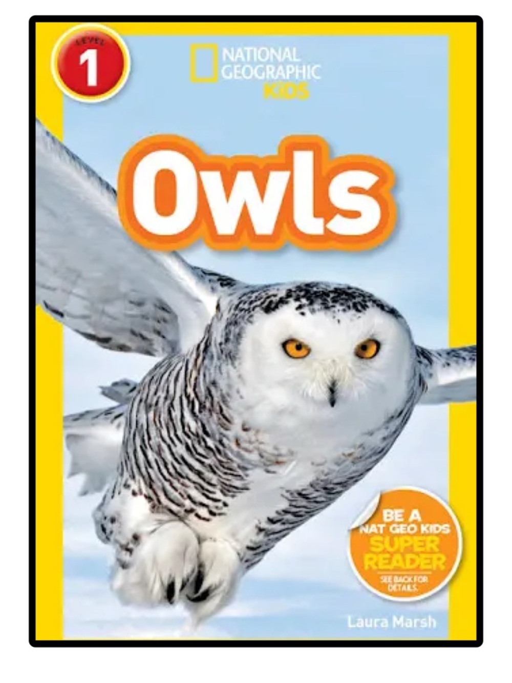 BUNDLE & SAVE🎉 National Geographic Owls Book